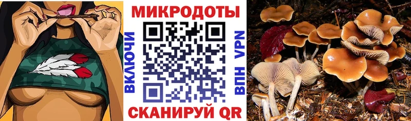блэк спрут tor  Себеж  Псилоцибиновые грибы мицелий 